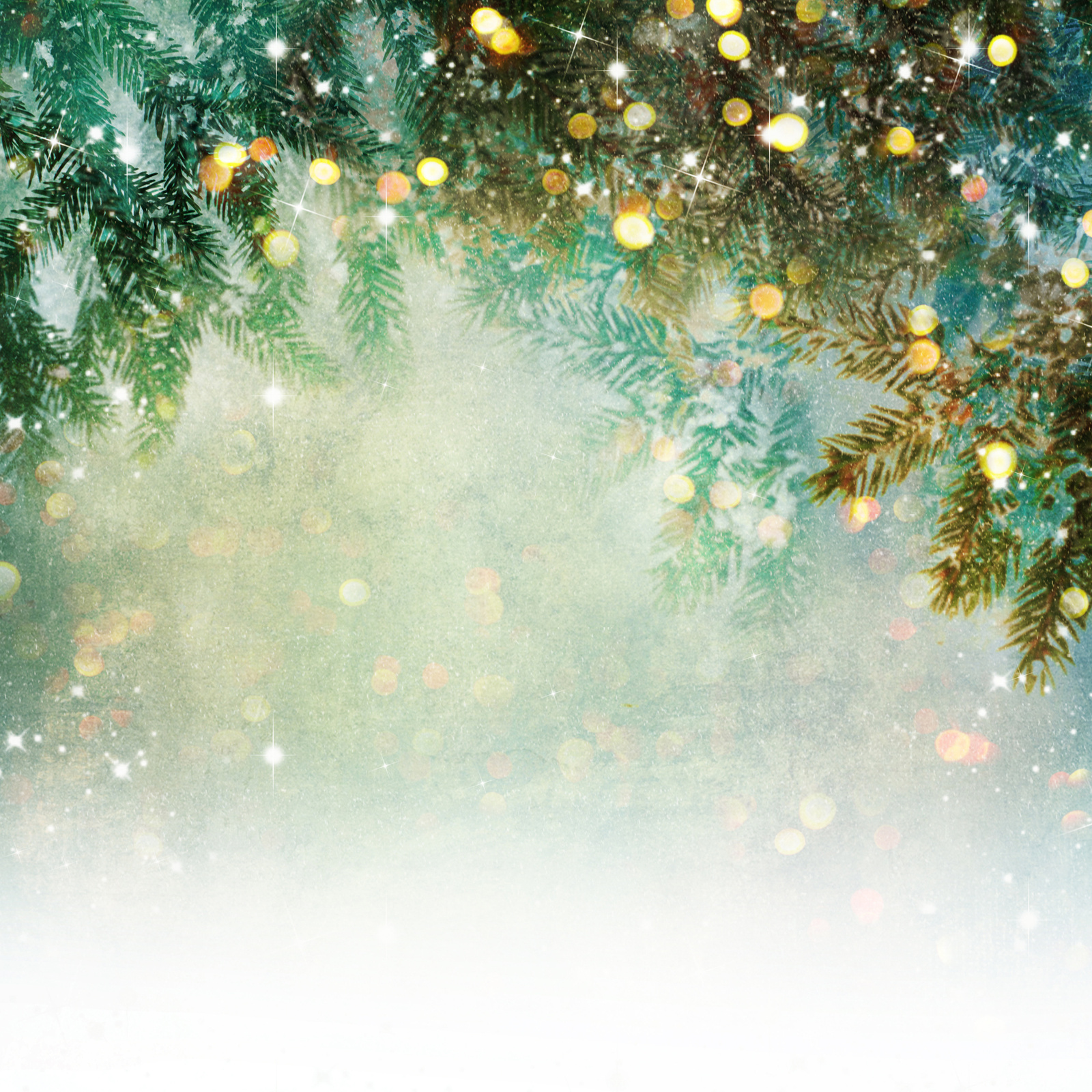 Nature background with lighten bokeh
