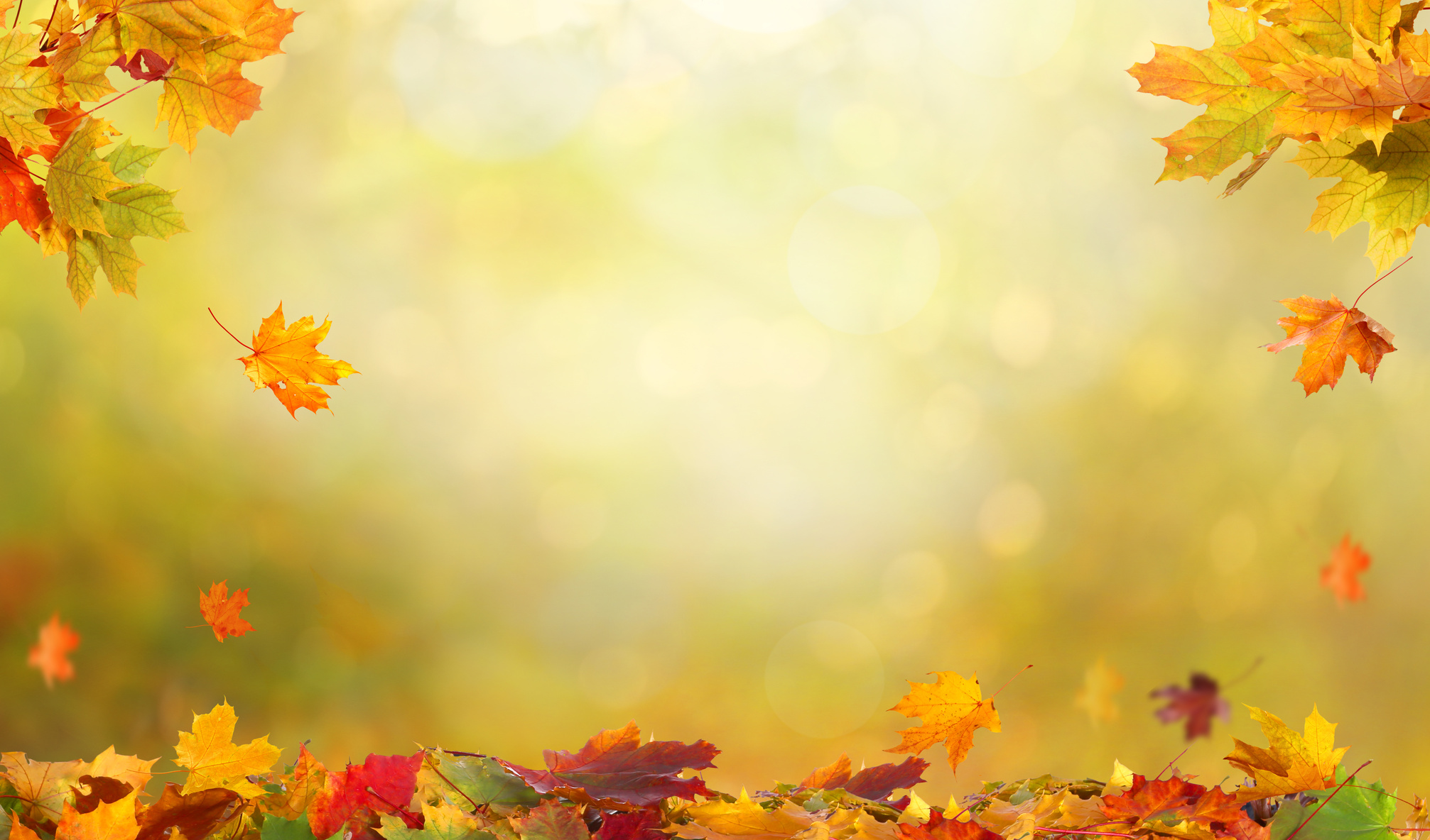 Autumn Leaves Background